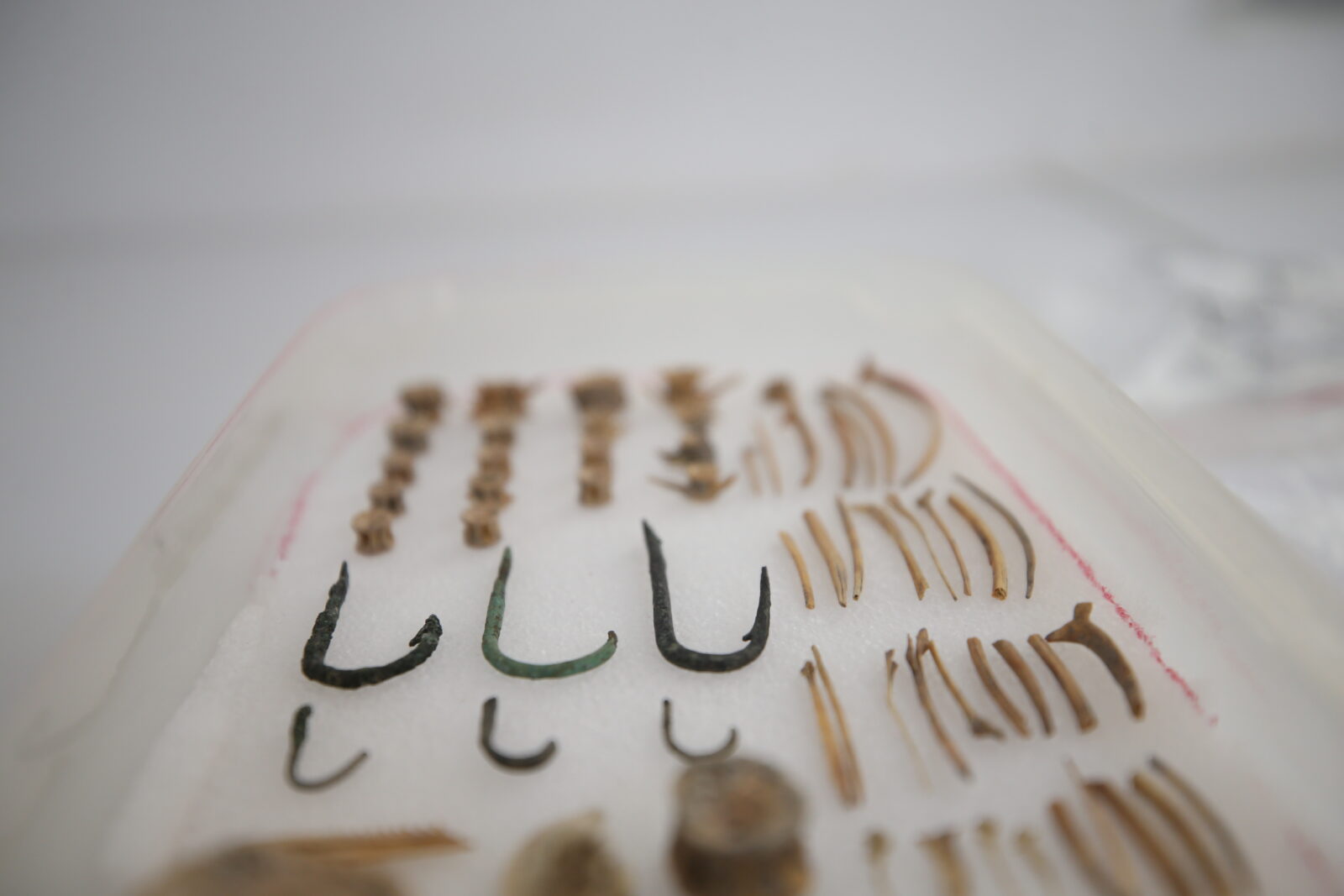 Hunting and fishing tools found at the ancient city of Daskyleion on shores of Lake Manyas in the Bandirma district of Balikesir, Türkiye, September 5, 2024 (AA Photo)