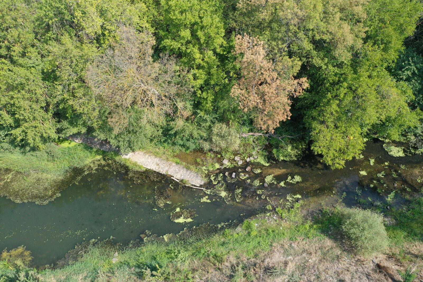 Dock built by Sultan Mehmed II in Türkiye's Edirne to be unveiled