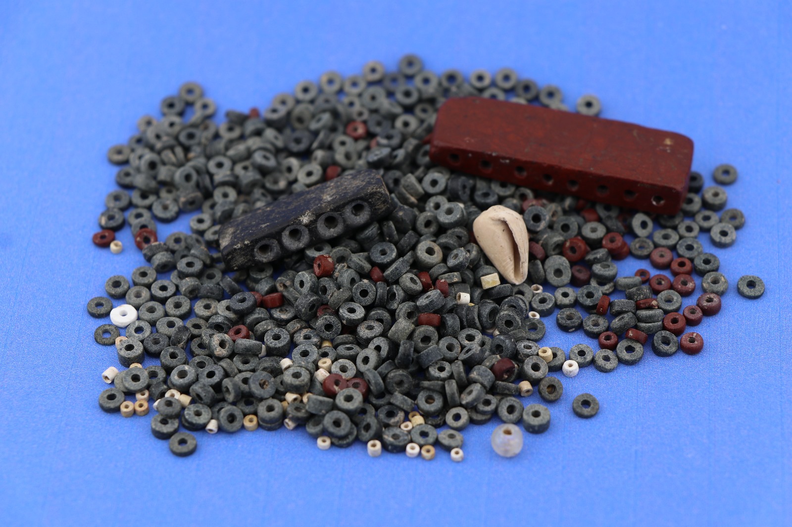 Another grave dating back to 4,000 B.C., belonging to an infant, revealed a necklace made from 820 beads at Yassihoyuk in the Afsin district of Kahramanmaras, Türkiye, September 24, 2024 (AA Photo)