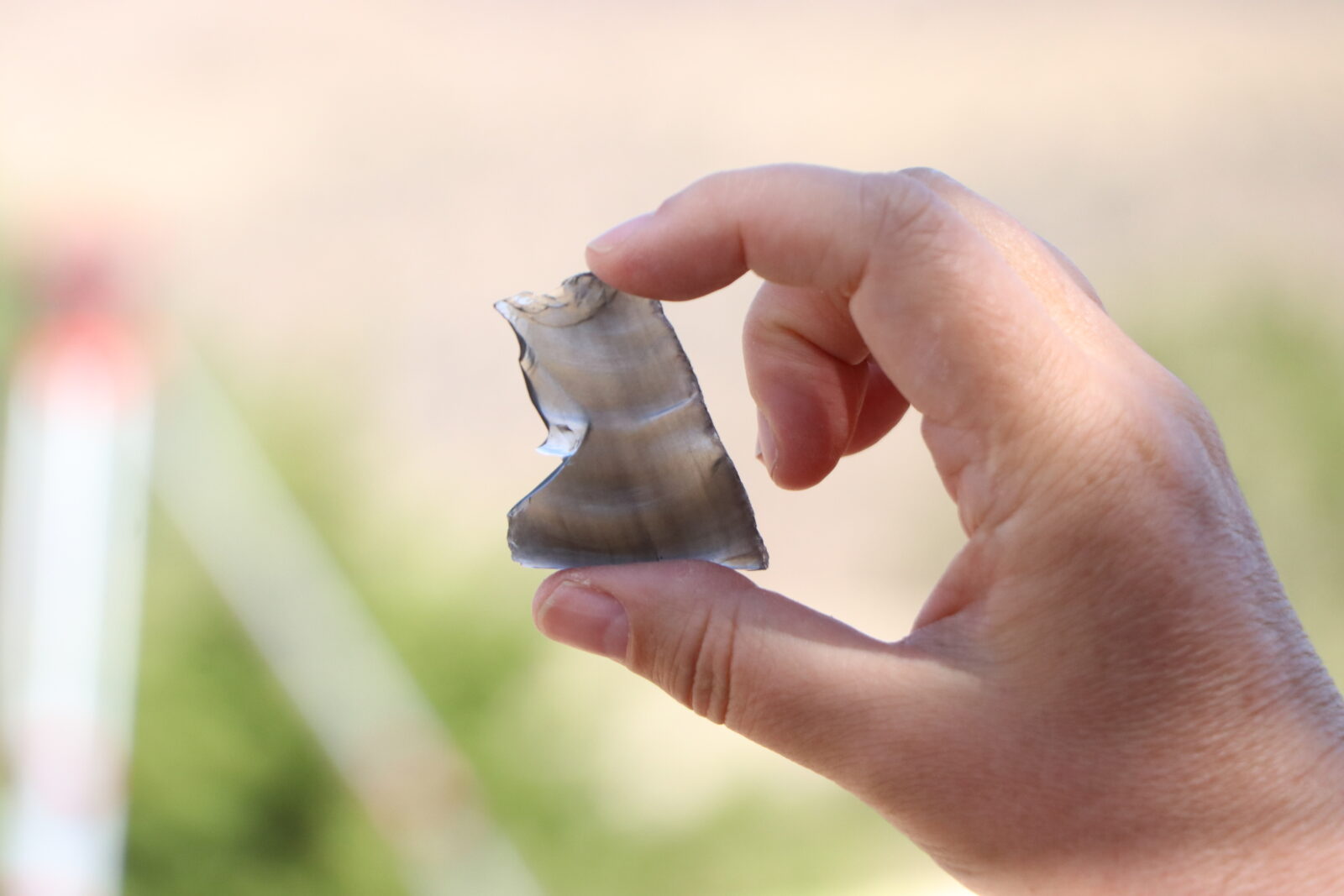 Assoc. Professor Nurcan Kayacan at Golludag excavations, examining obsidian artifacts that offer valuable insights into prehistoric trade and migration patterns, Nigde, Türkiye, September 3, 2024 (AA Photo)