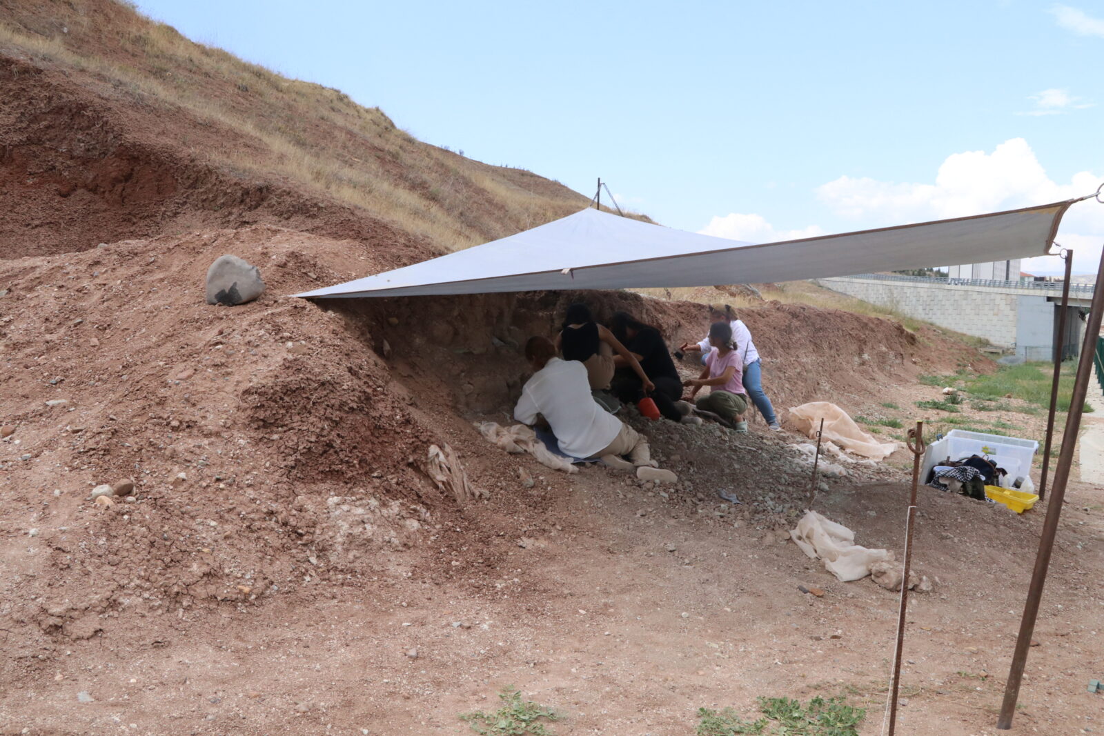 9-million-year-old prehistoric elephant bones discovered in Türkiye