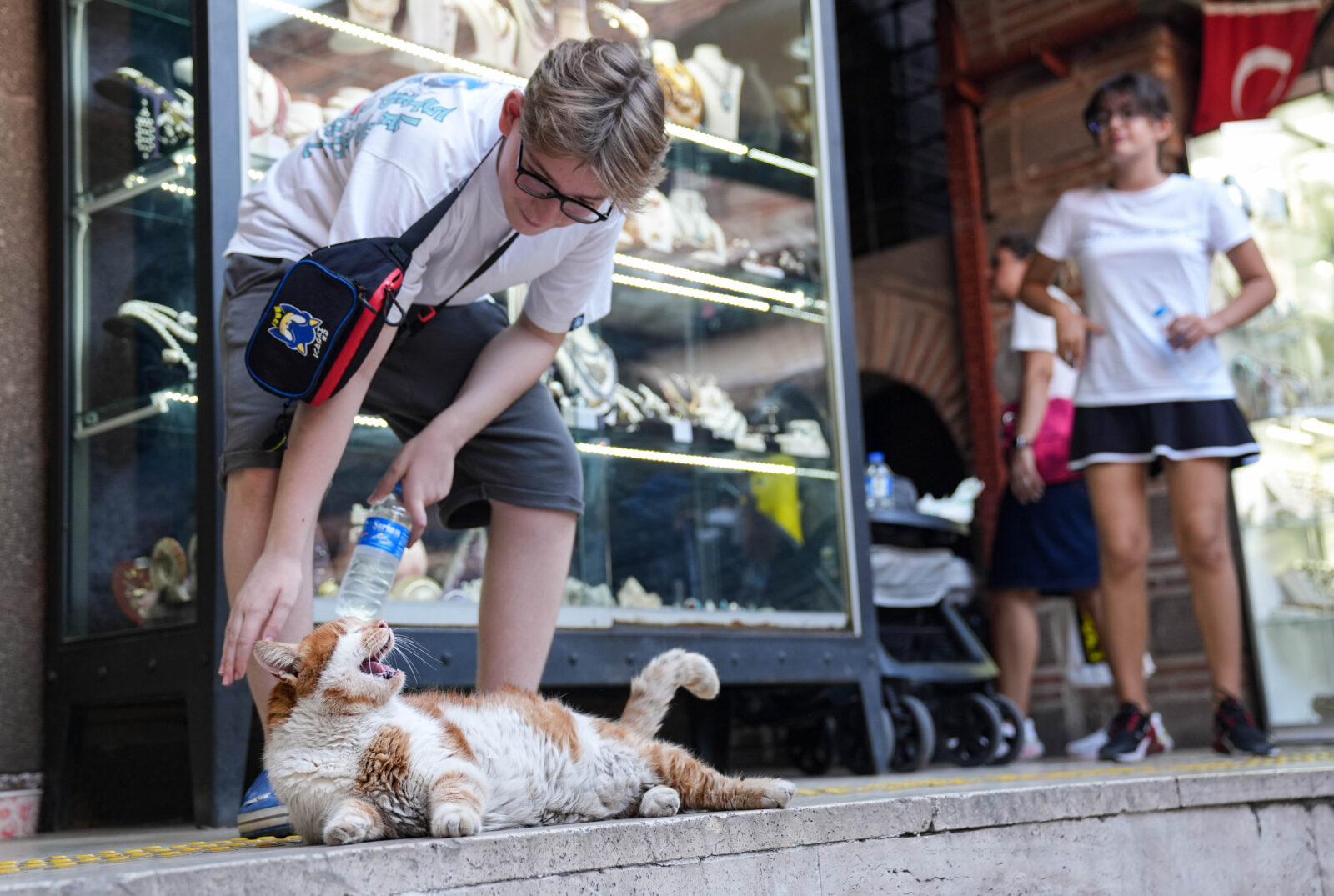 Izmir’s famous cat: Garfield lookalike charms visitors at Kemeralti bazaar