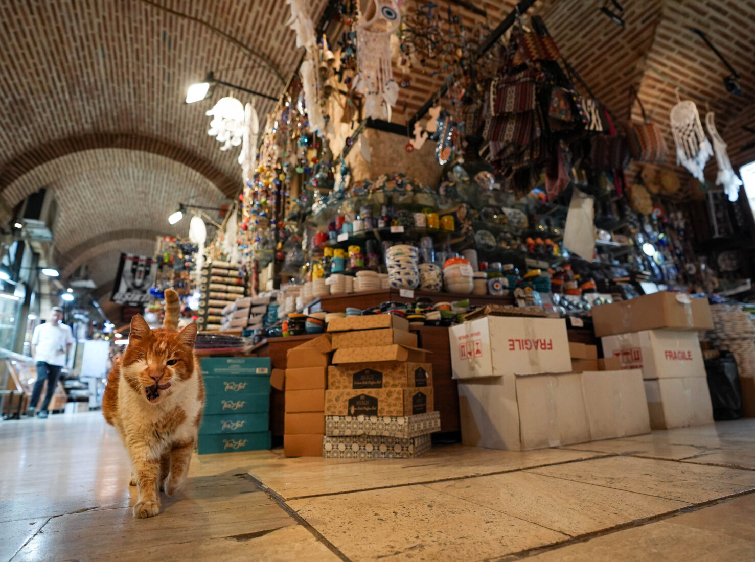 Izmir’s famous cat: Garfield lookalike charms visitors at Kemeralti bazaar