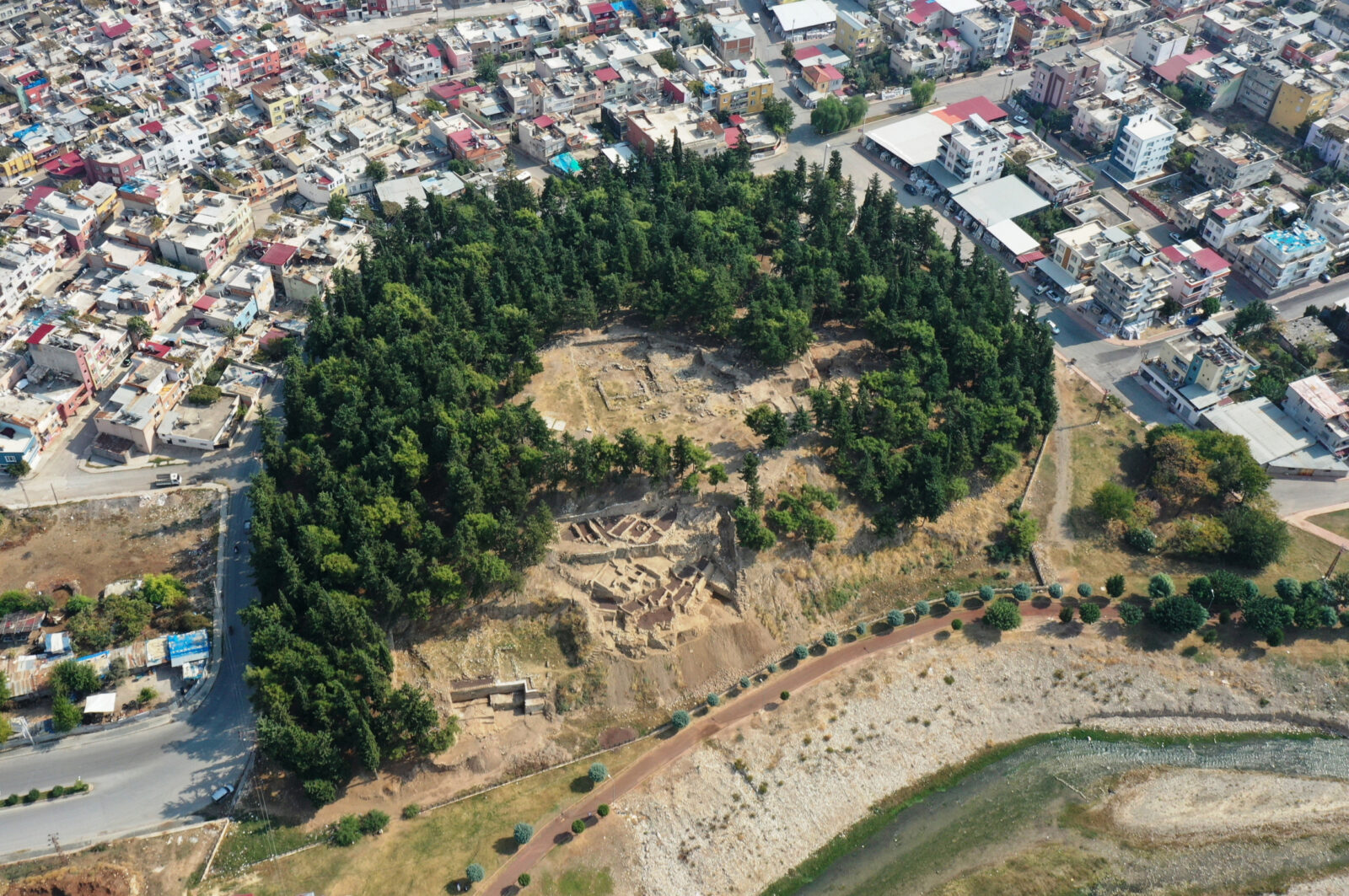 Ancient wheat varieties discovered at Türkiye's Yumuktepe Hoyuk