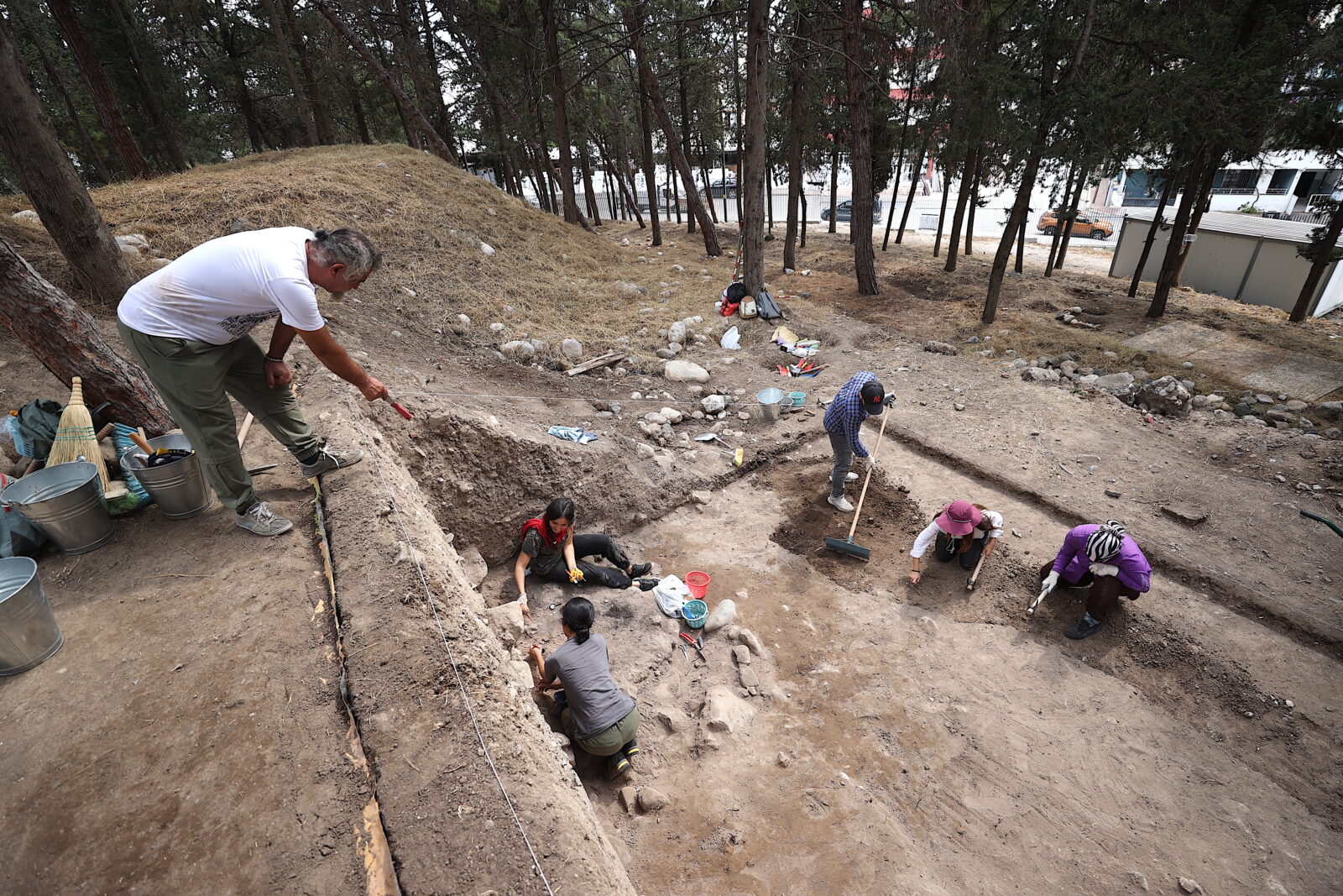 Ancient wheat varieties discovered at Türkiye's Yumuktepe Hoyuk