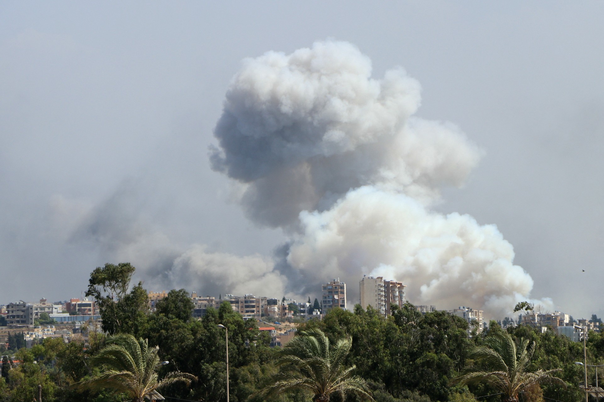Israeli airstrike kills Anadolu cameraman Hassan Hamad, raising Gaza journalist toll to 175