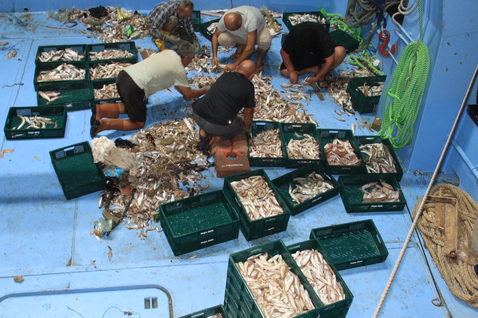 Fishermen from Mersin have embarked into the Mediterranean Bay, marking the start of the fishing season, Türkiye, September 18, 2024 (IHA Photo)