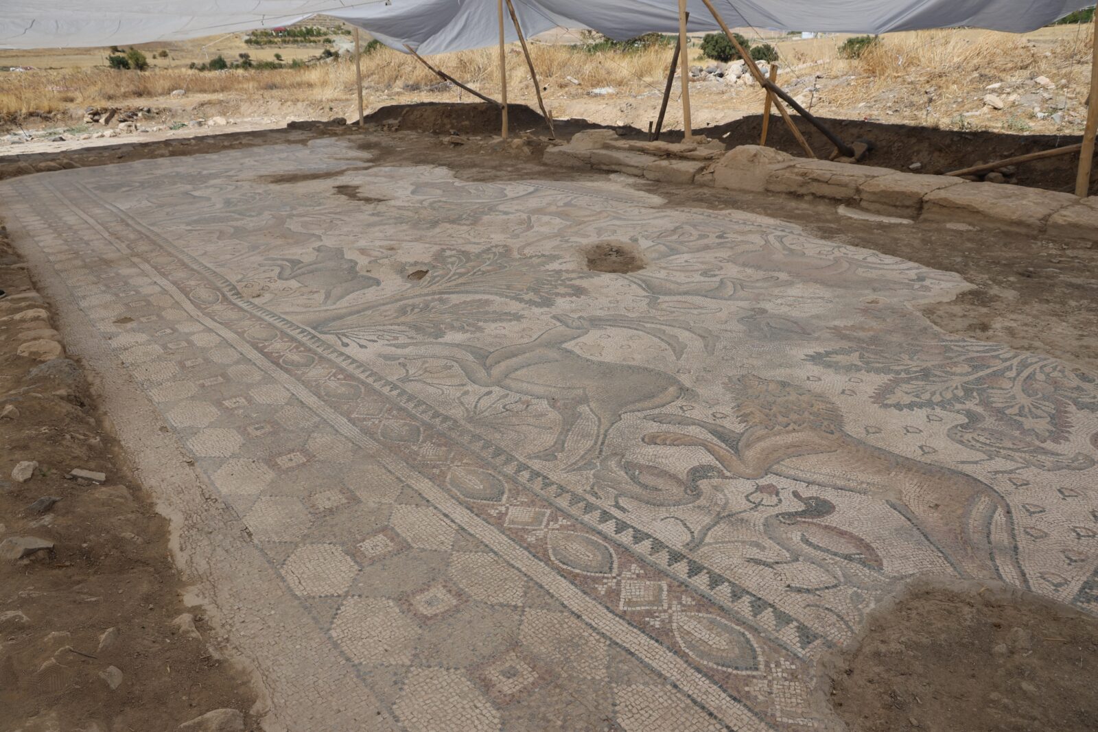 Groundbreaking archaeological discoveries shaping Türkiye's rich history in 2024