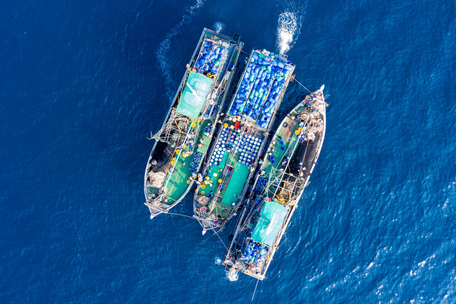 Industrial fishing also significantly impacts the Mediterranean Sea's ecosystem. (Adobe Stock Photo)