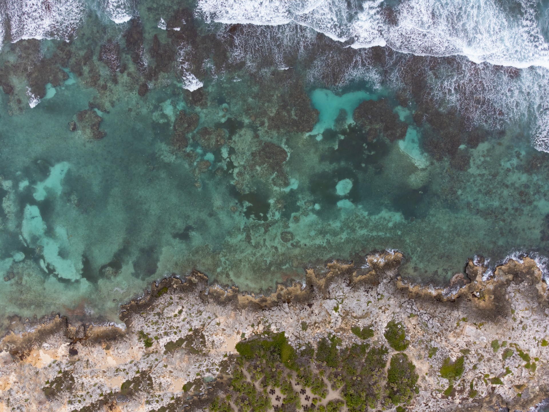 Sea water is polluted with debris and algae, poisoning wildlife with toxins. (Adobe Stock Photo)
