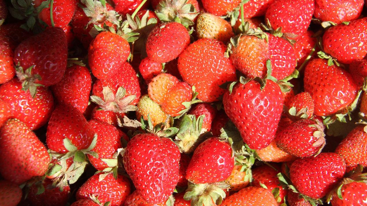 Hüyük strawberries (AA Photo)