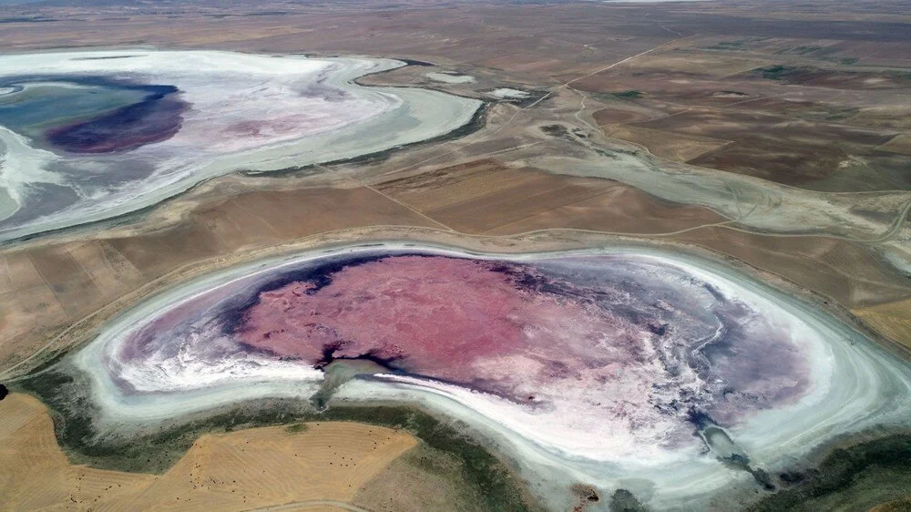 'Flamingo paradise' in Türkiye's Kucuk Lake drying up due to mistakes and climate change