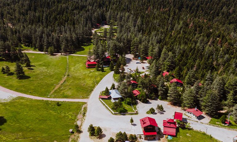 Explore the 11-kilometer Baskonus Eco-Tourism Area in Kahramanmaras. This lush trail offers opportunities for photography, hiking, mountain biking, and discovering the beauty of nature. September, 2024. (Photo baskonusyaylasi)