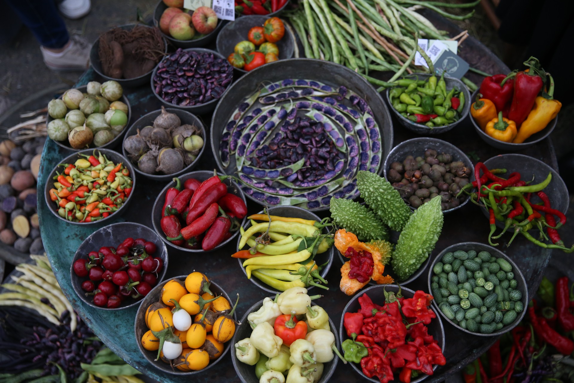 Türkiye's 4th GastroRize festival celebrates Rize's distinctive flavors