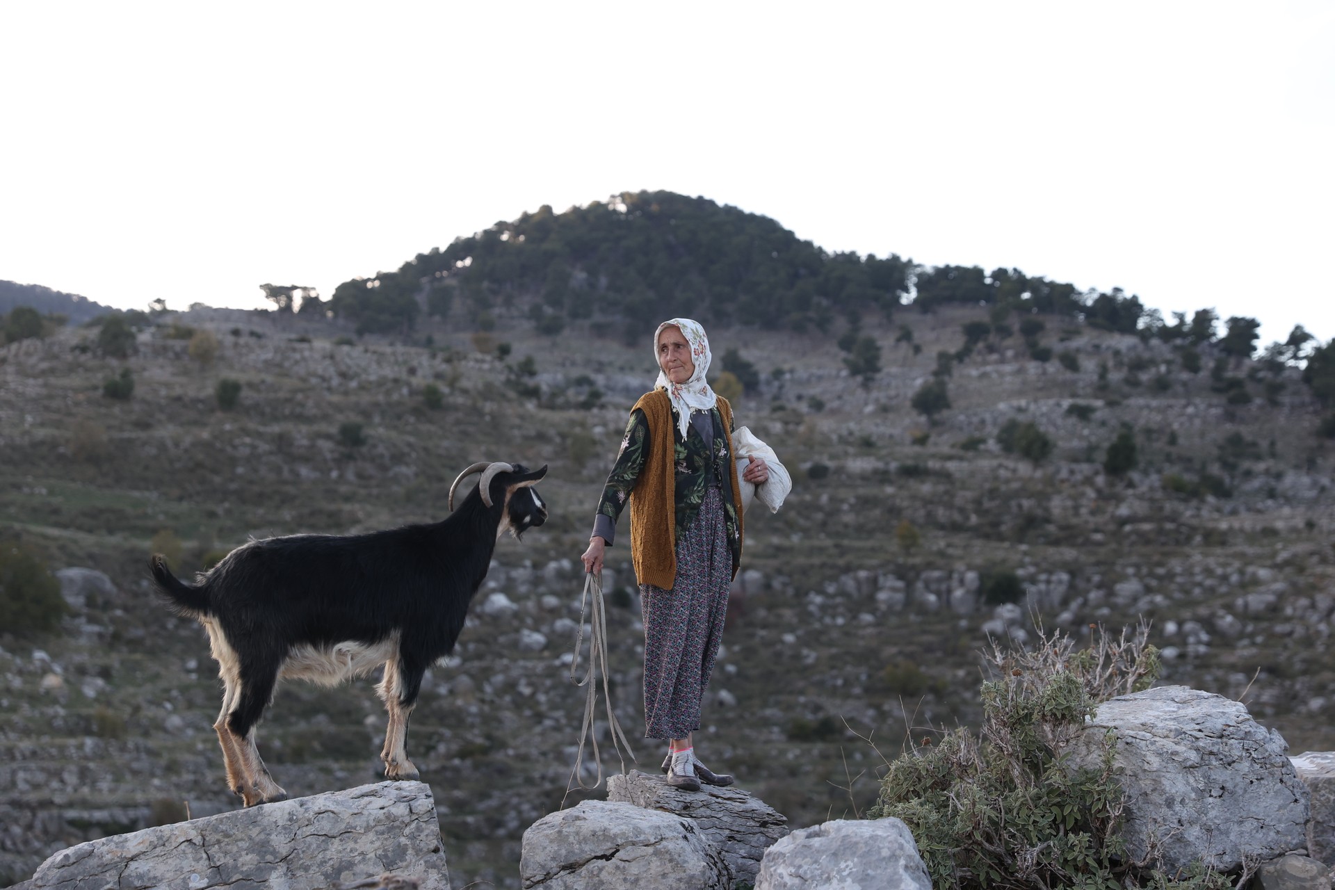Turkish nomad Fatma: Shepherdess of Türkiye's ancient city of Selge