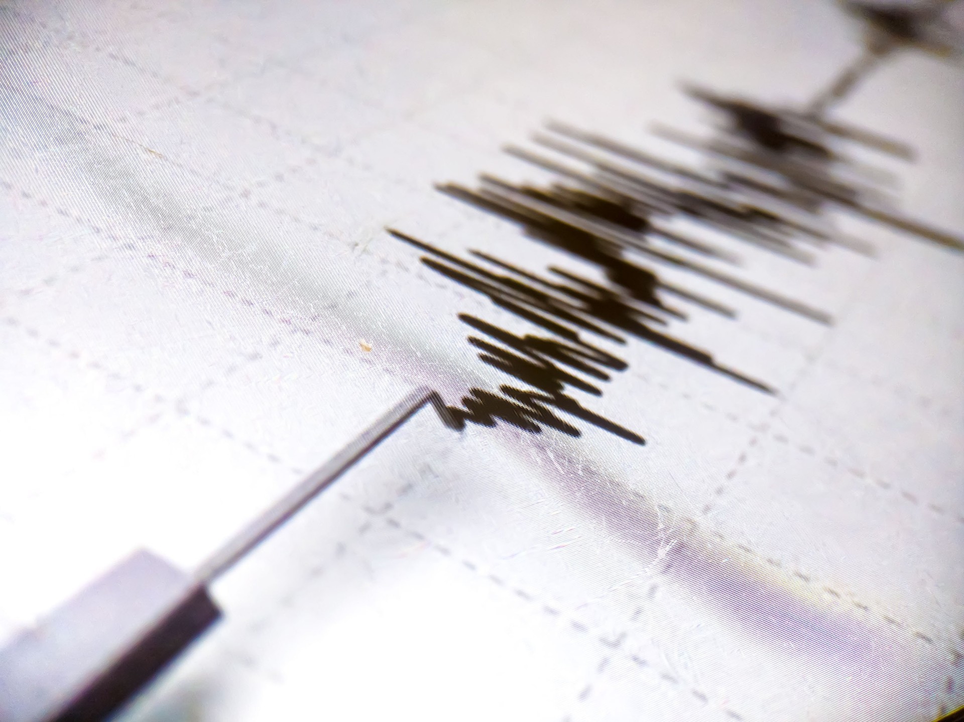 5.9 magnitude earthquake hits Indonesia's eastern North Maluku province Image