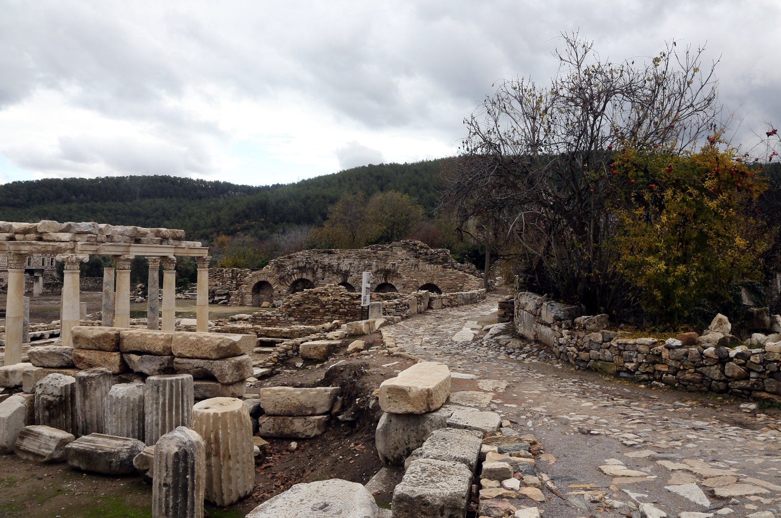 A view of the ancient cities of Lagina and Stratonikiea as yellowing leaves cover the historical ruins and stone-paved roads, Mugla, Türkiye, December 2, 2022. (AA Photo)