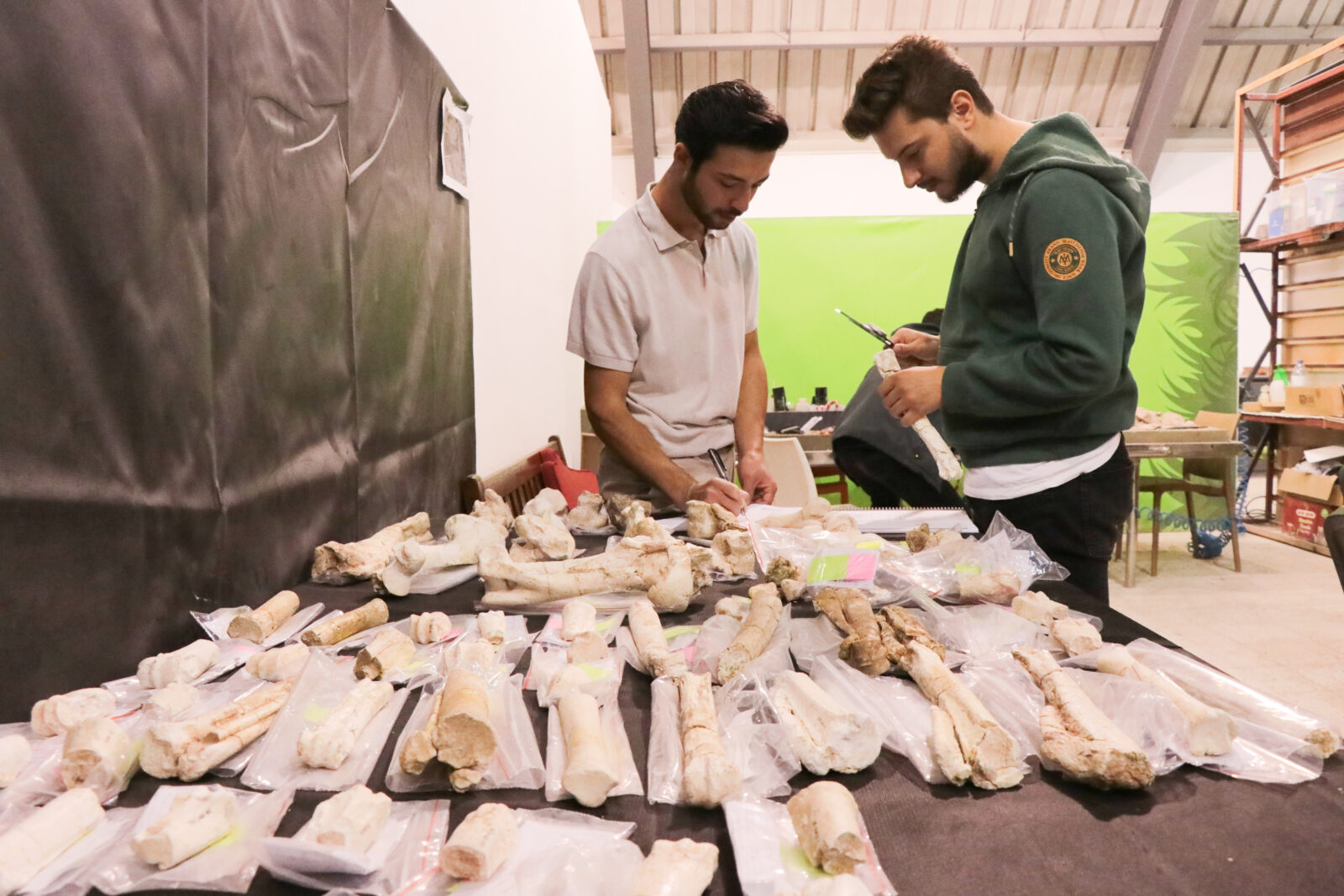 A large number of animal fossils, estimated to be 7.5 million years old, were uncovered this year during excavations around Yamula Dam in Kayseri, Türkiye, October 10, 2024 (AA Photo)