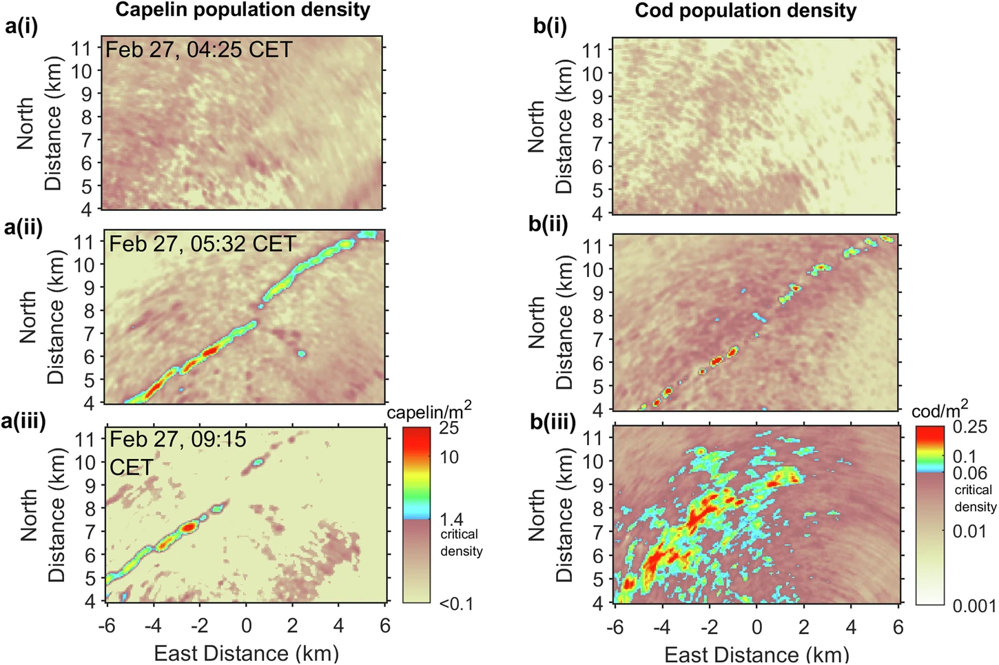 Instantaneous wide area population density images of overlapping species showing transition from random individual behaviour to ordered adversarial group behaviour in rapid formation and propagation of capelin prey and engulfing cod predator shoals, Oct. 29, 2024. (Figure via Commun Biol 7)