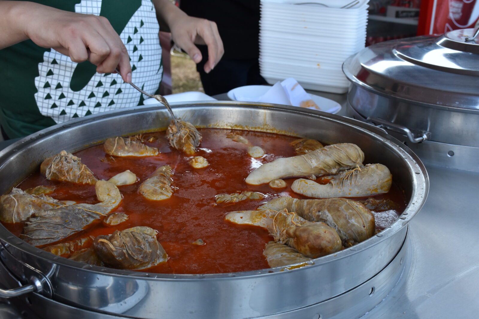 The eighth International Taste of Adana Festival, themed 