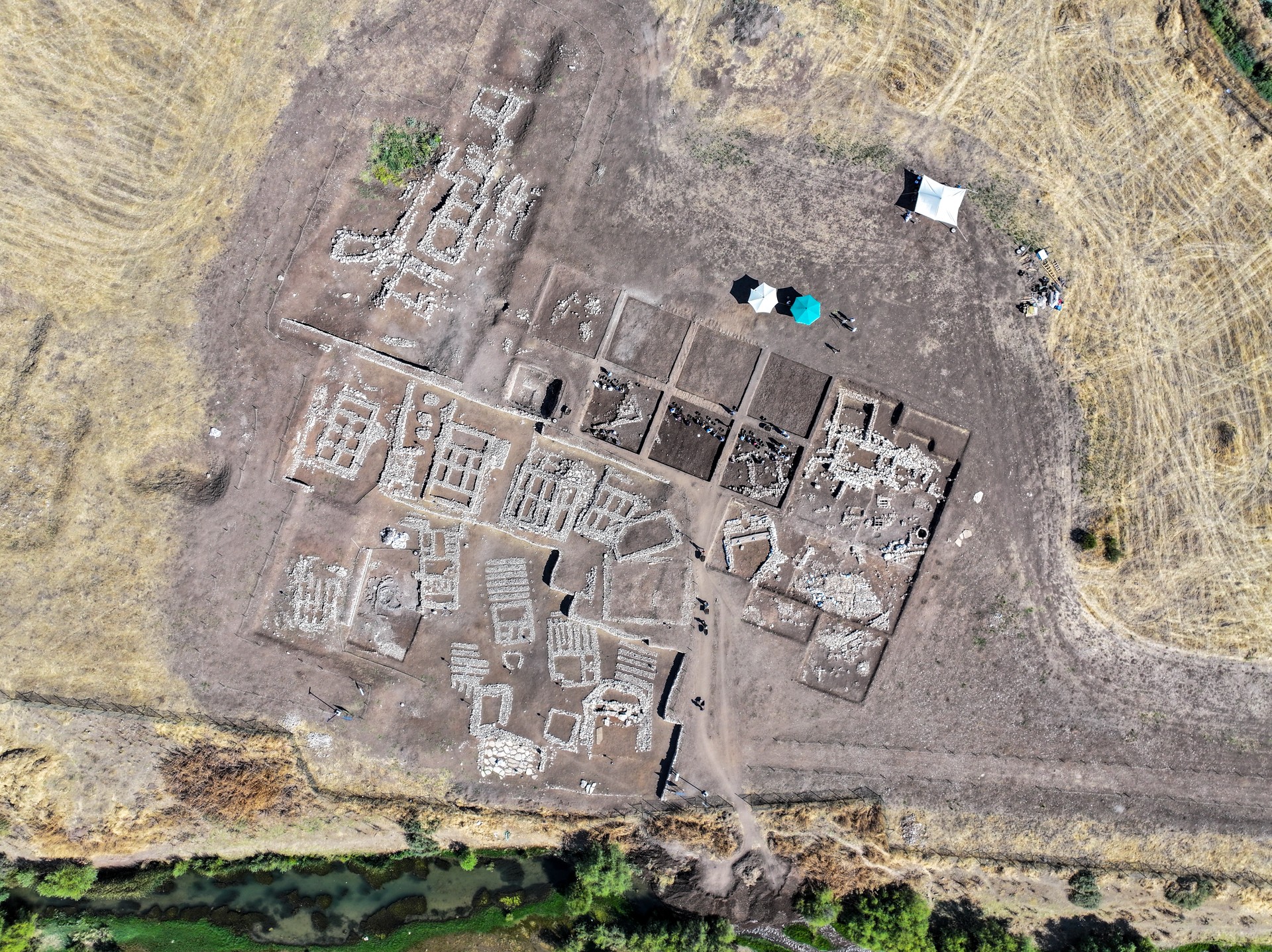 Türkiye's Cayonu uncovers ancient agricultural practices, cultural insights