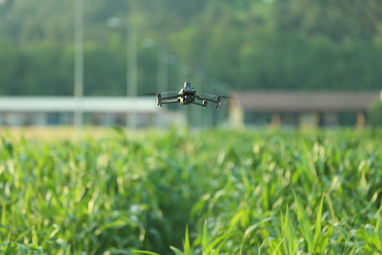 Türkiye sees rise in drone numbers with 1.5M licensed pilots