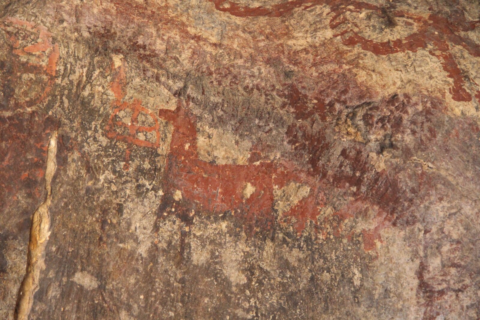 Mystery cave paintings in Türkiye's Sivas: Secret sanctuary or ancient art?