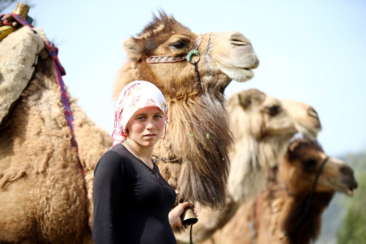 Journey of Anatolian nomads: Sarikecili Yoruks preserve centuries-old traditions