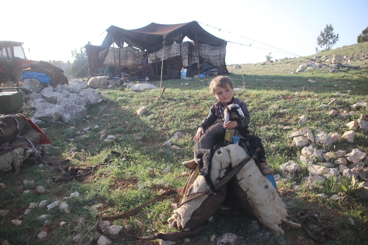 A Sarikecili Yoruk child sits with a goat in front of their tent in Konya, Türkiye, May 6, 2021. (Photo via Facebook / @Guzel Konya)