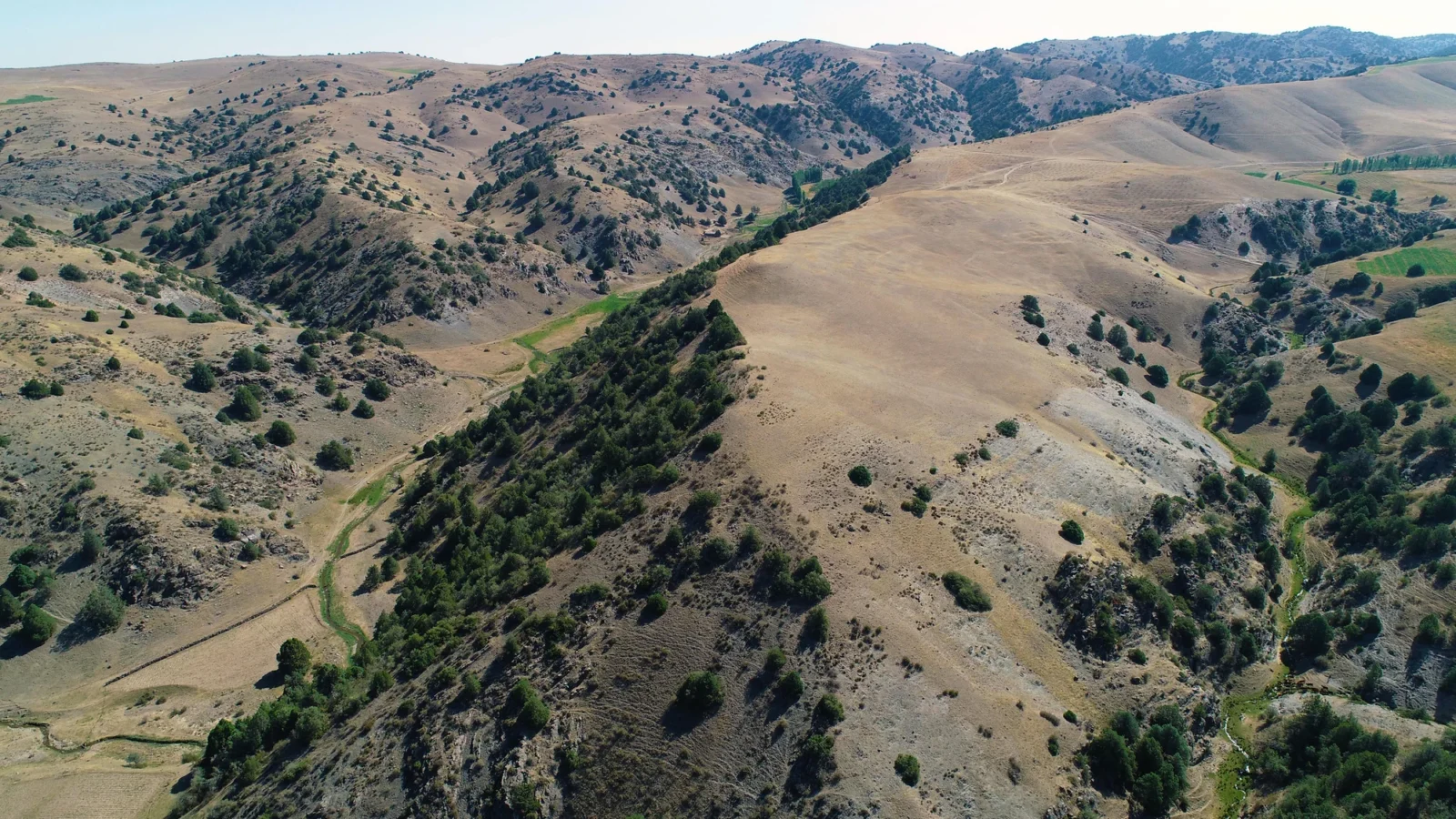 An aerial view of Tugunbulak. (Photo via M. Frachetti)