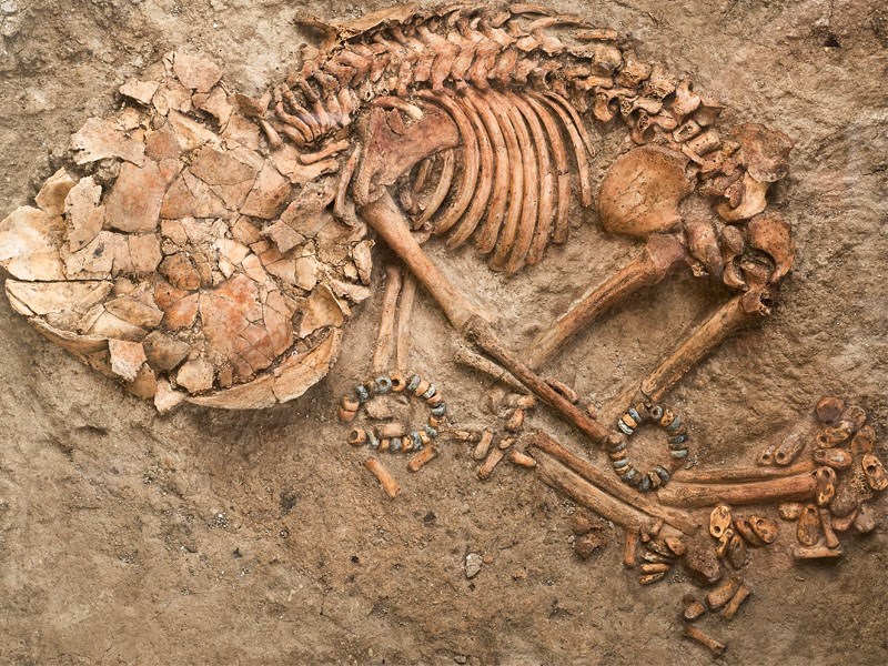 Skeletons of individuals buried inside the houses found at Catalhoyuk. (Photo via the Ministry of Culture and Tourism)