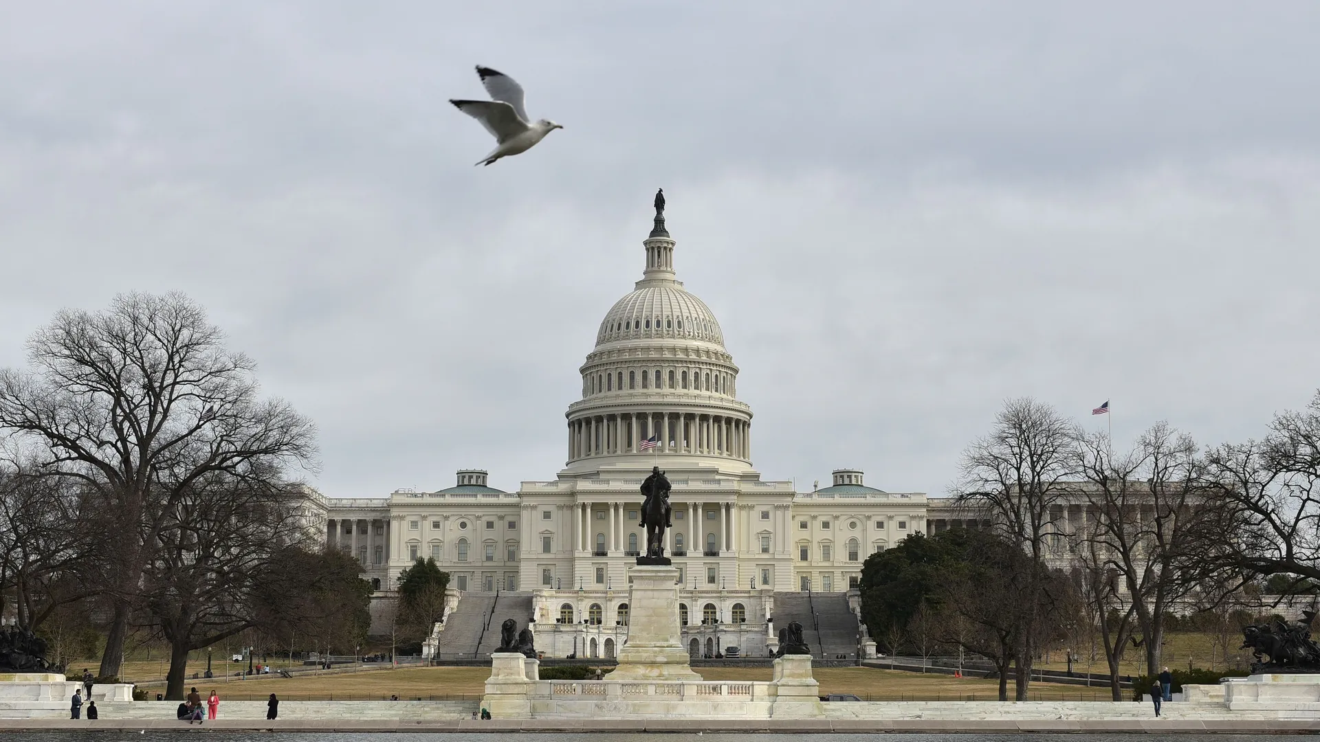 US senate blocks resolutions to halt weapons sales to Israel