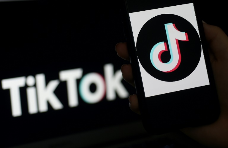 Social media giant TikTok seeks temporary halt to enforcement of US-wide ban