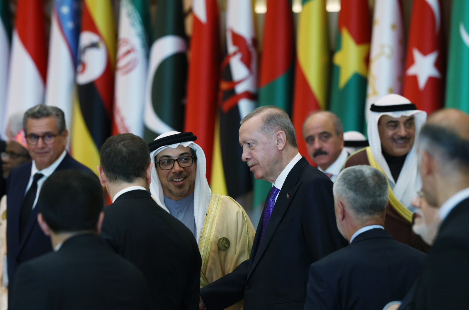 Erdogan urges international support for South Africa's case against Israel in ICJ
