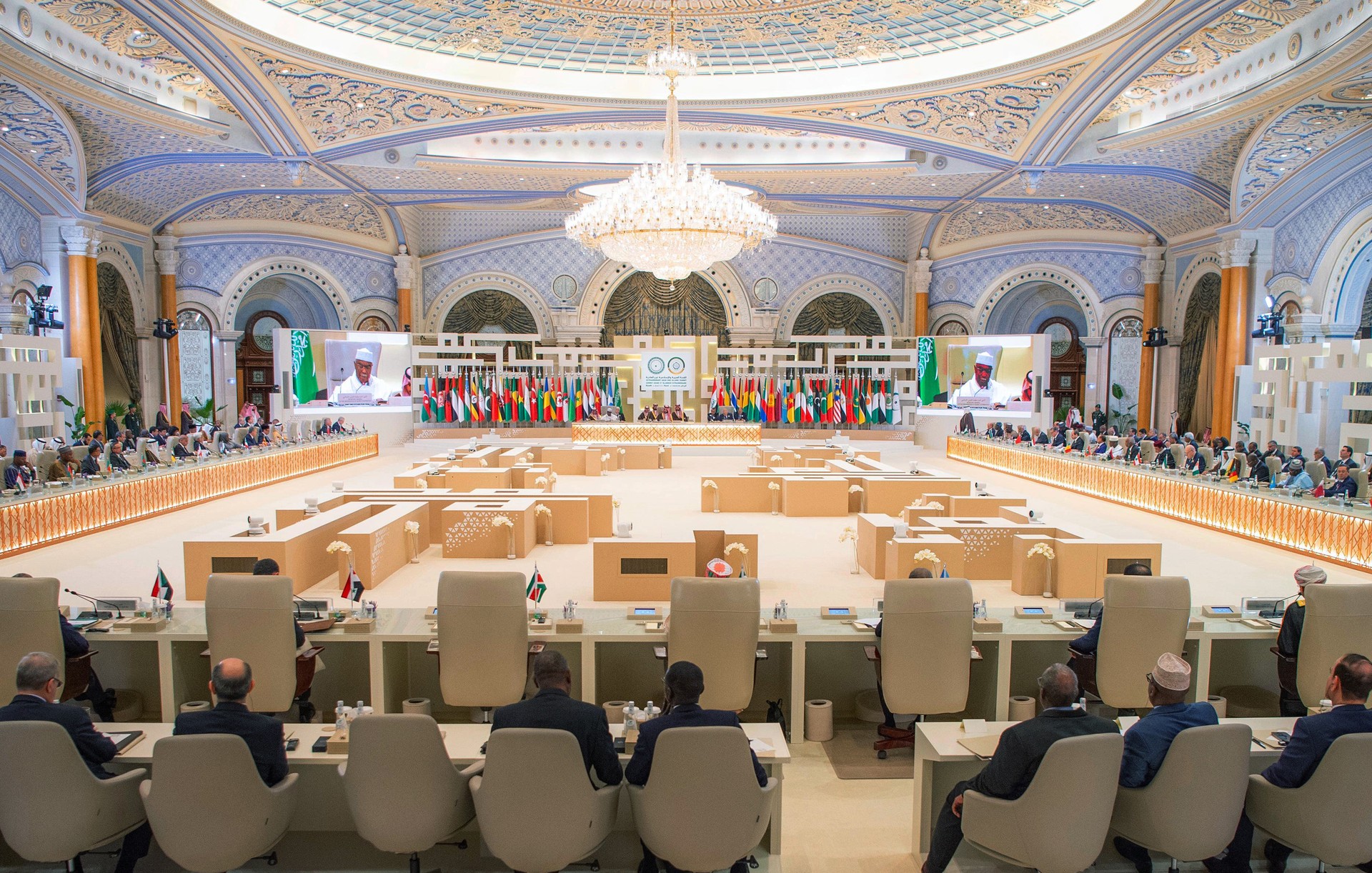 Where the Arab League falls short, others don't regarding Palestine Image