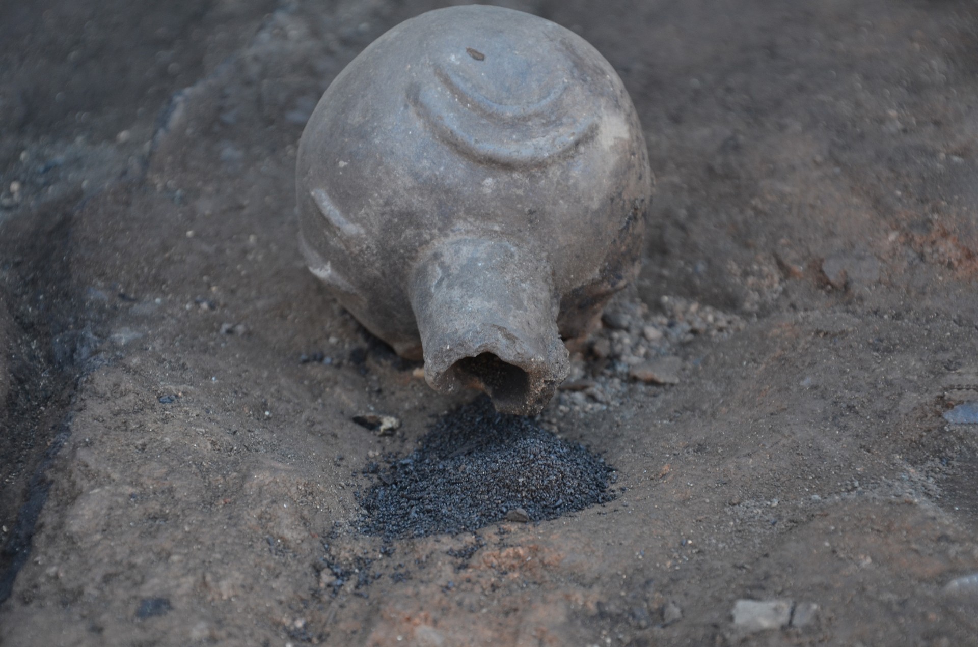 Ancient grains reveal 5,000 years of farming history in Türkiye's Seyitomer Hoyuk