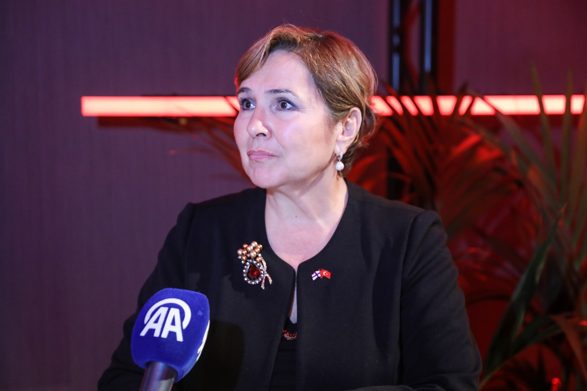 Türkiye, Finland to strengthen defense, economic cooperation