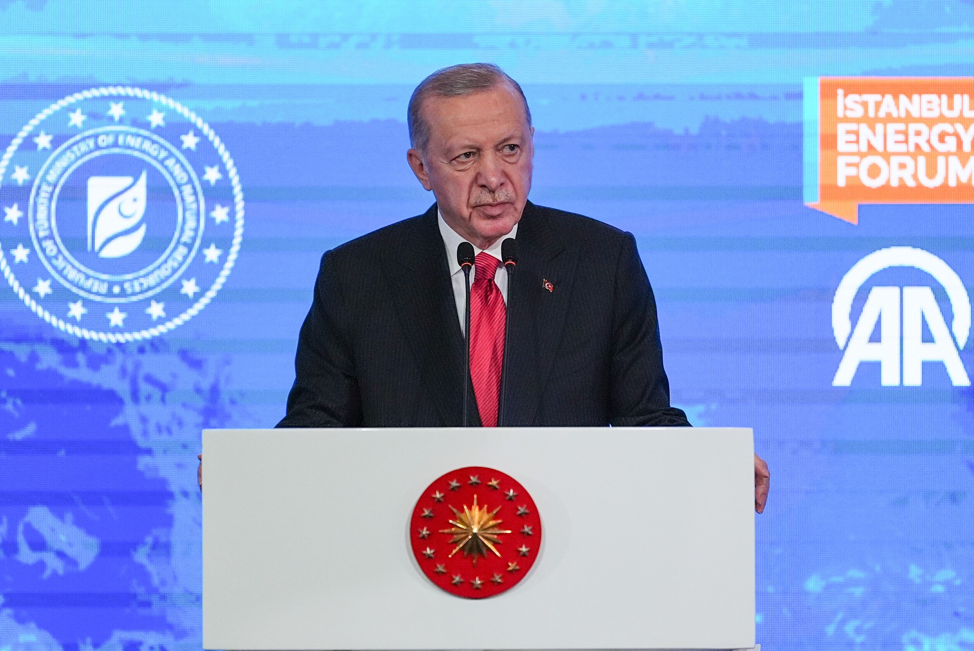 Türkiye to supply half of households with domestic natural gas by 2026: Erdogan