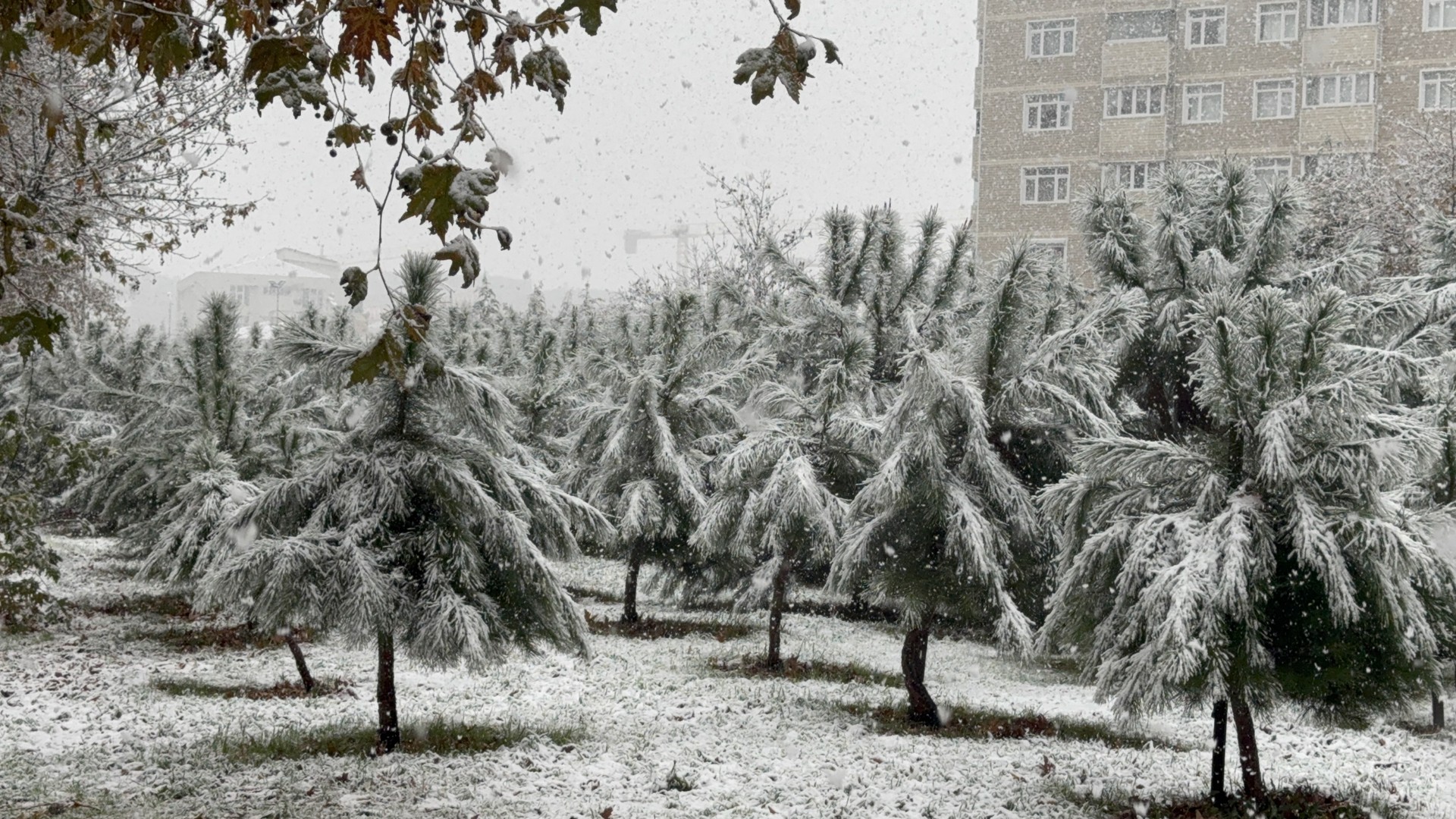 Türkiye suspends education in 21 cities, provinces due to adverse weather