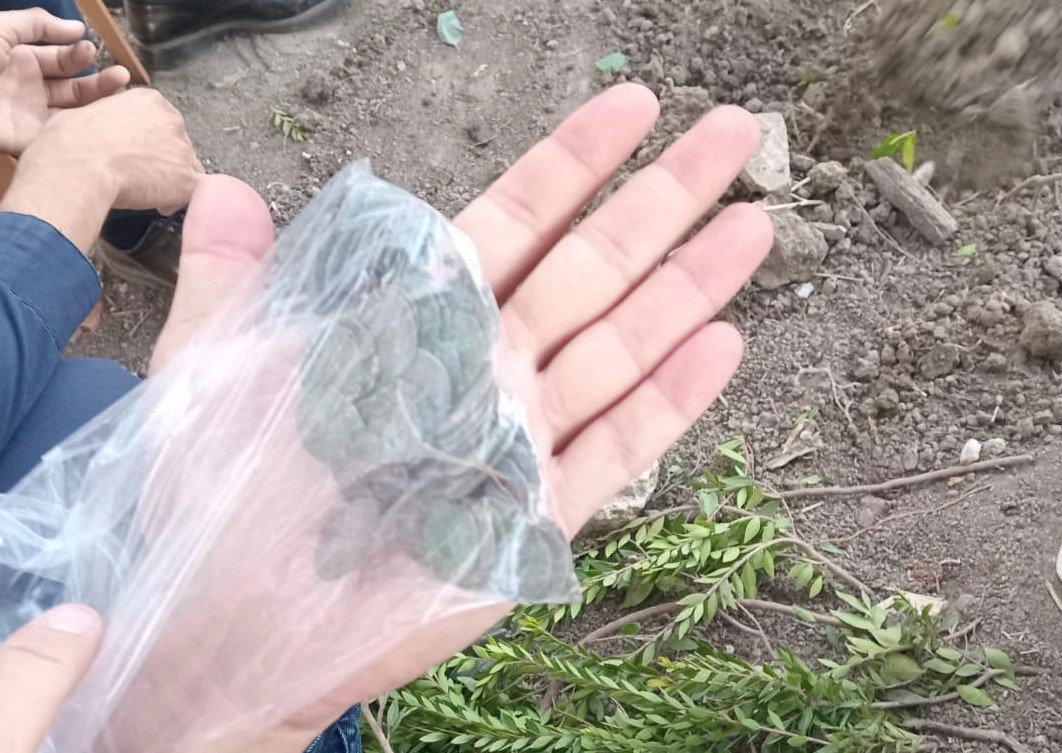 Over 1,100 silver coins and a broken ceramic jar were discovered as locals dug a burial site in Tarsus, Mersin, Türkiye, November 8, 2024. (IHA Photo)