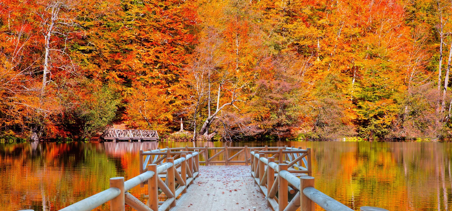 Autumn landscape in Yedigoller Park (Seven Lakes park) in Bolu, Türkiye. (Adobe Stock Photo)