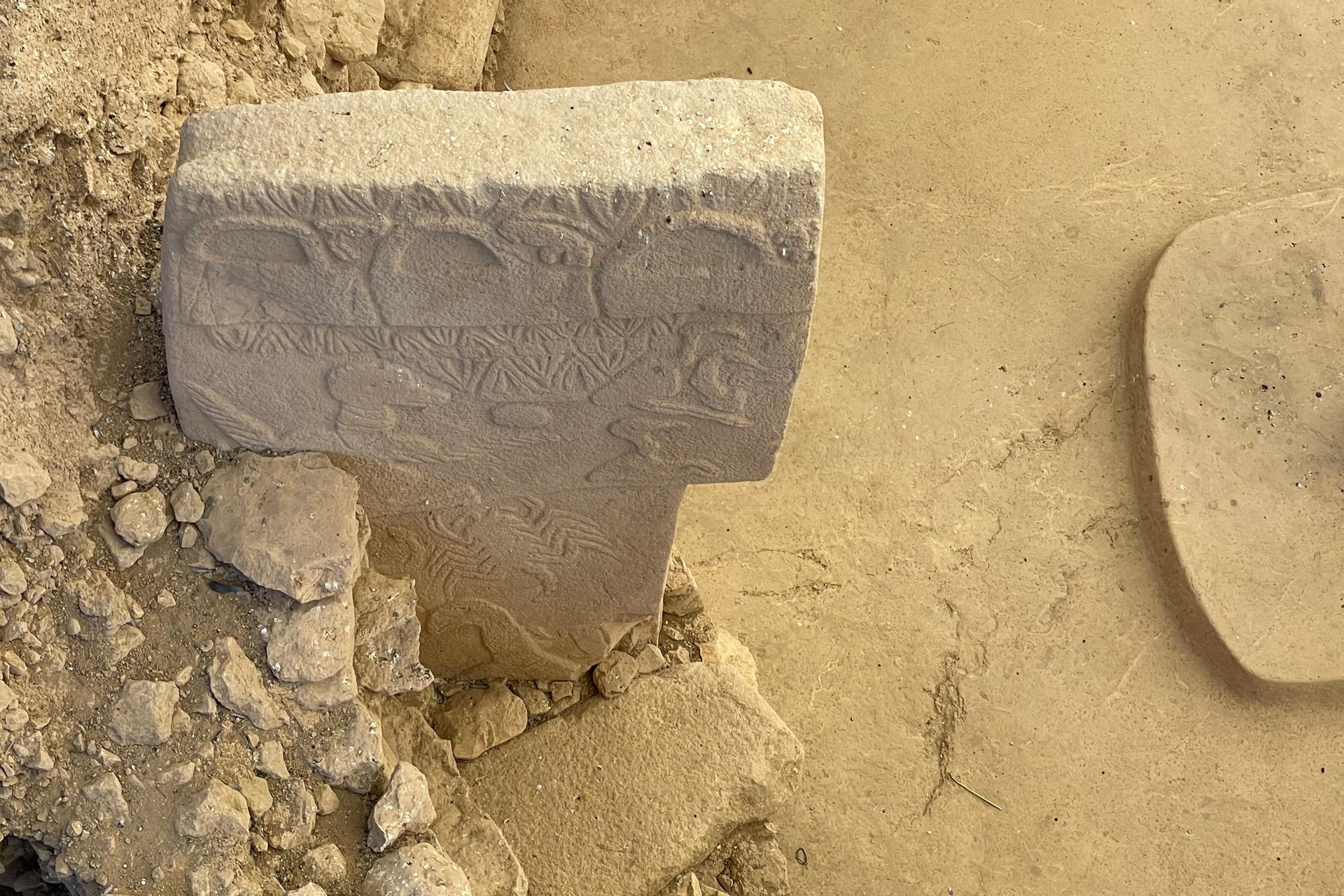 Pillar 43, Gobeklitepe, Sanliurfa, Türkiye, November 6, 2024. (Photo via Koray Erdogan/Türkiye Today)