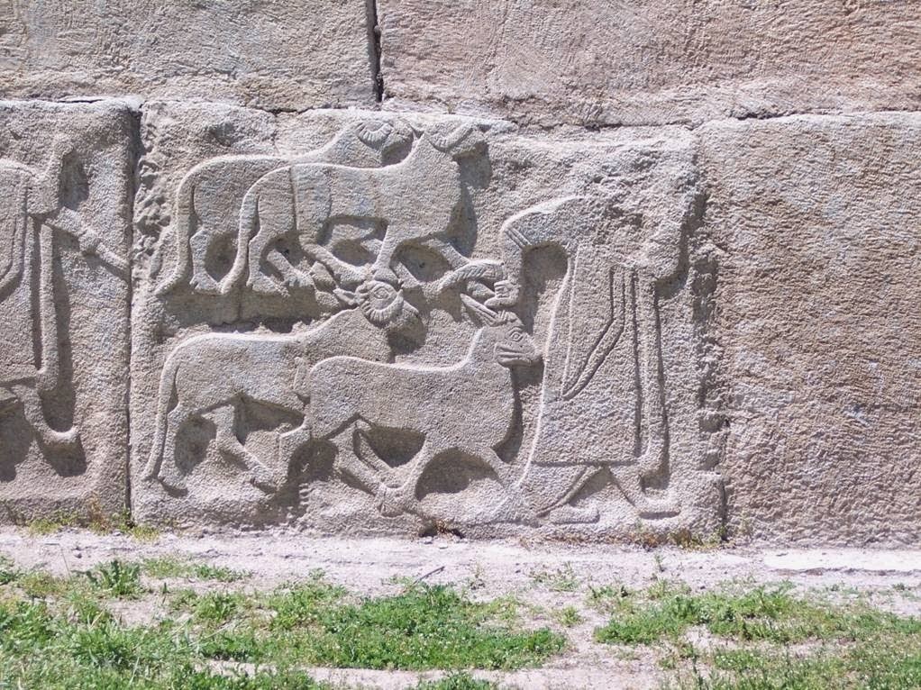 Ancient sheep domestication traced to Türkiye, study reveals