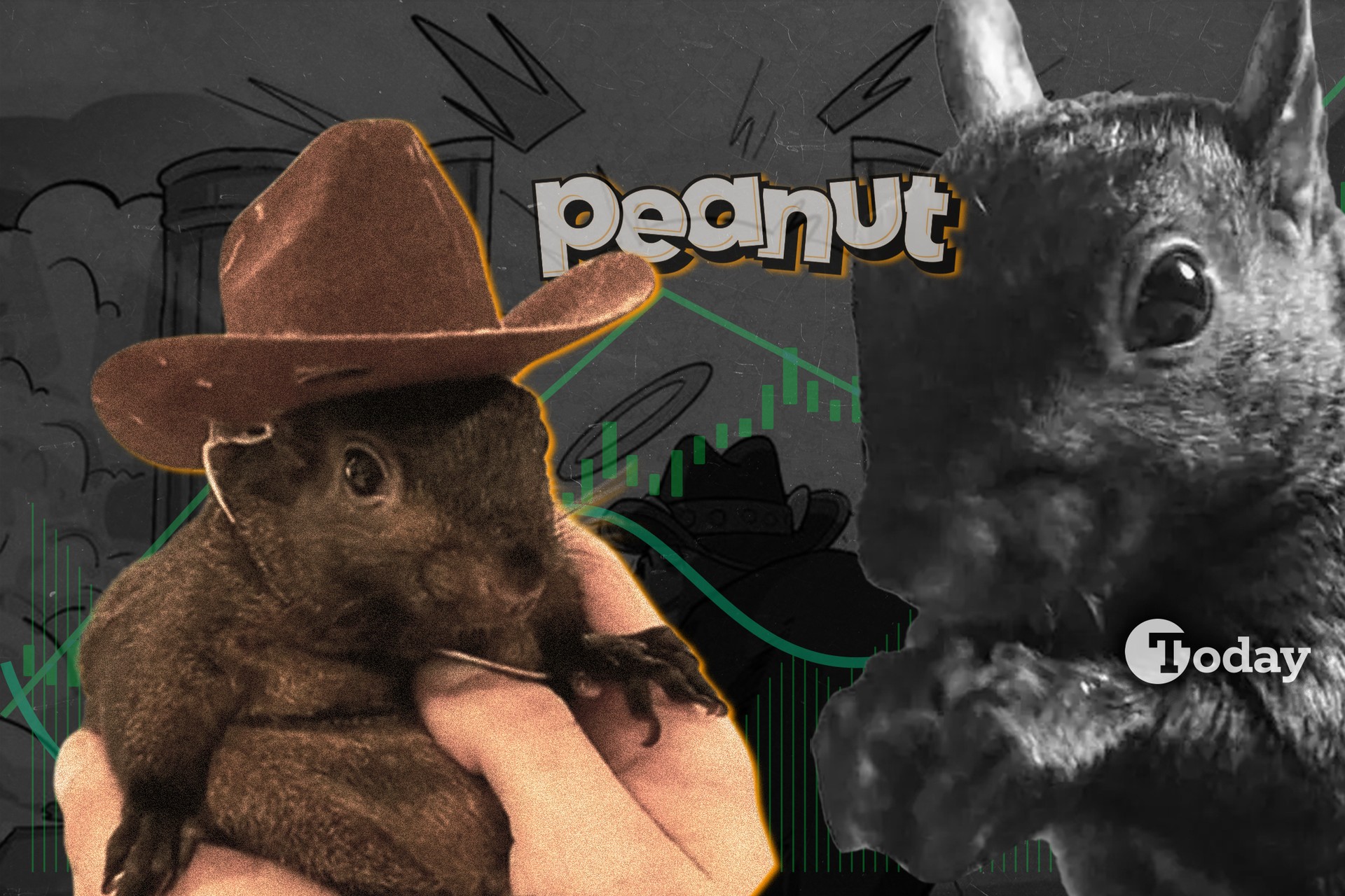 Social media star Peanut the Squirrel euthanized, inspires $2.1B meme token
