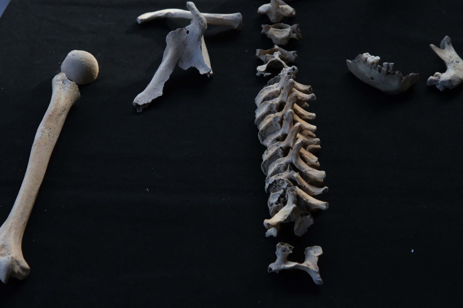 'City of Gladiators,' Türkiye's Stratonikeia reveals ancient genetic secrets