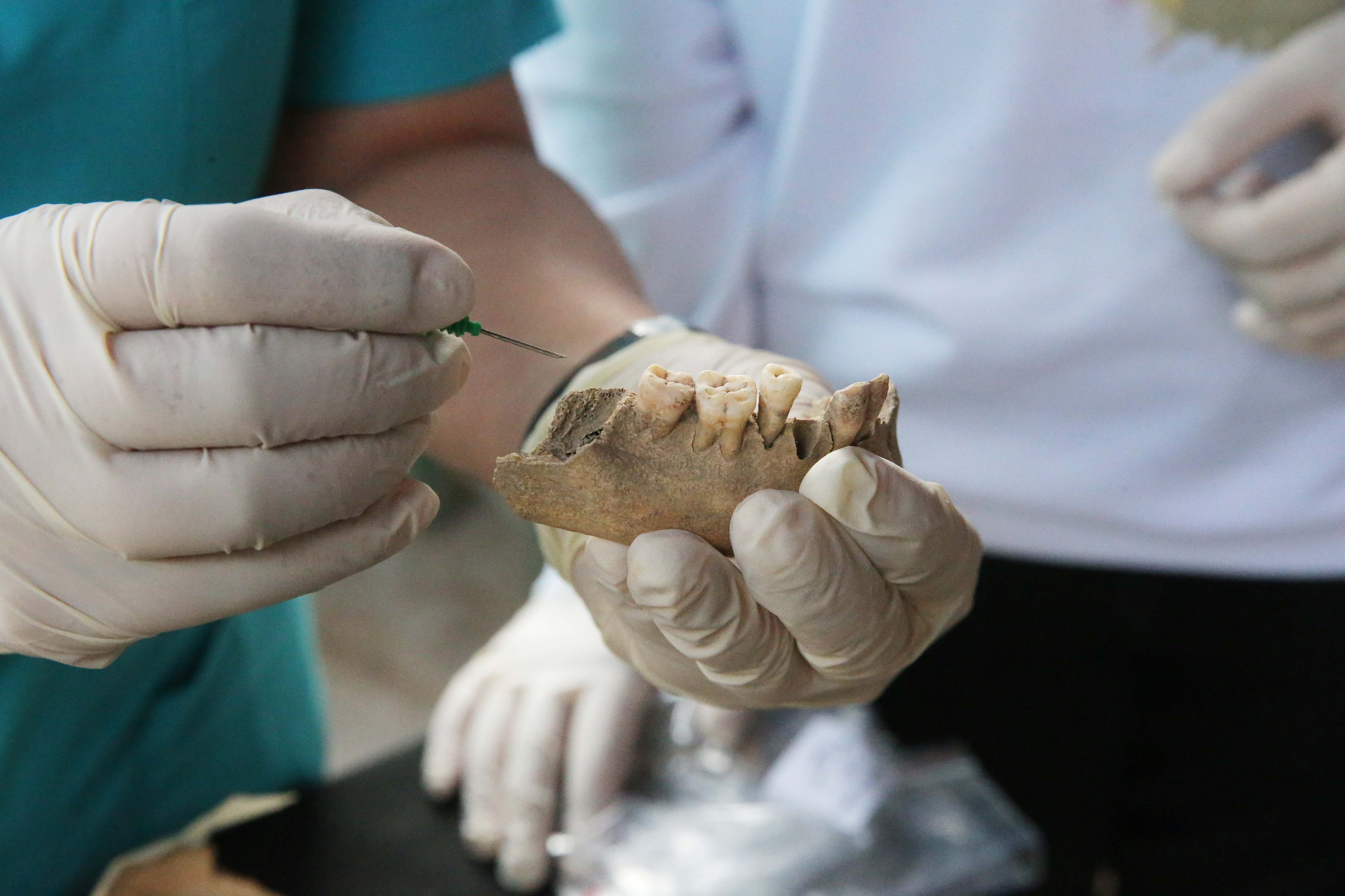 'City of Gladiators,' Türkiye's Stratonikeia reveals ancient genetic secrets