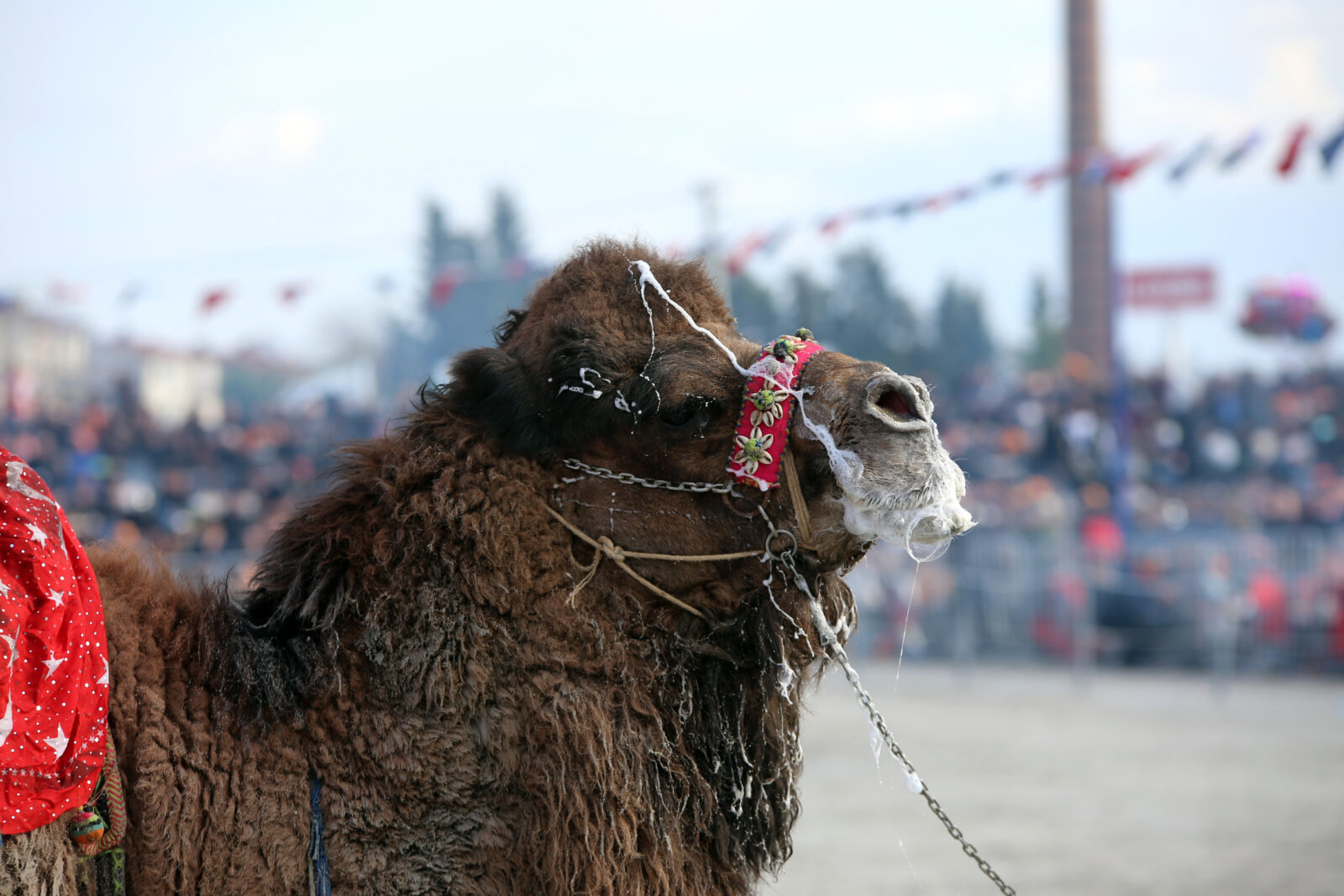 The Aydin Metropolitan Municipality hosted the 