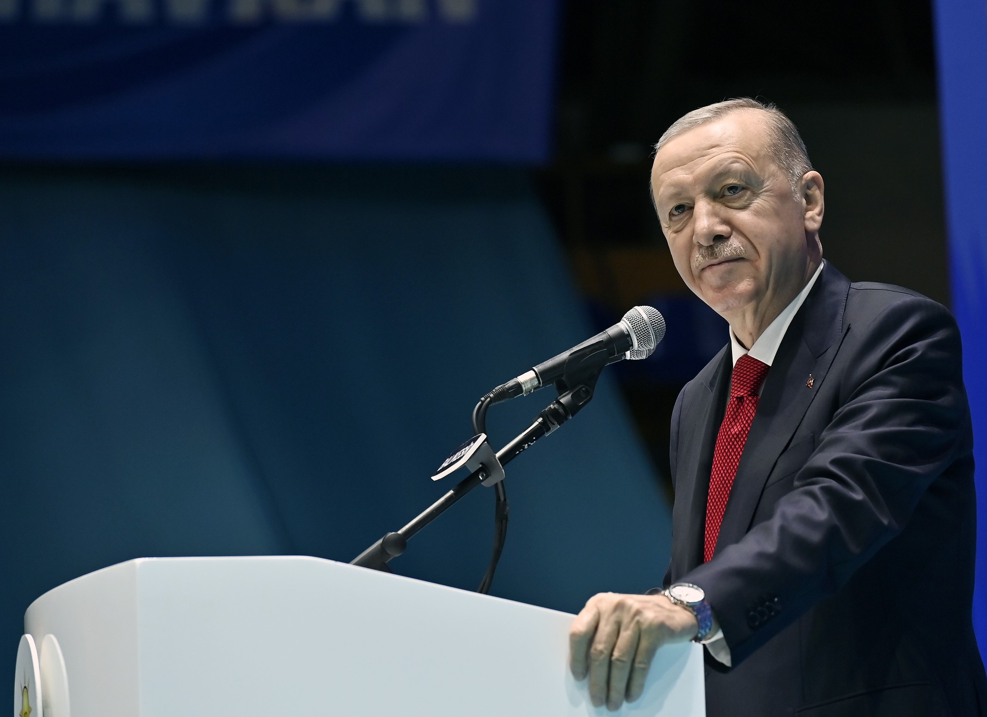 Türkiye to ensure security beyond southern borders starting in 2025: President Erdogan