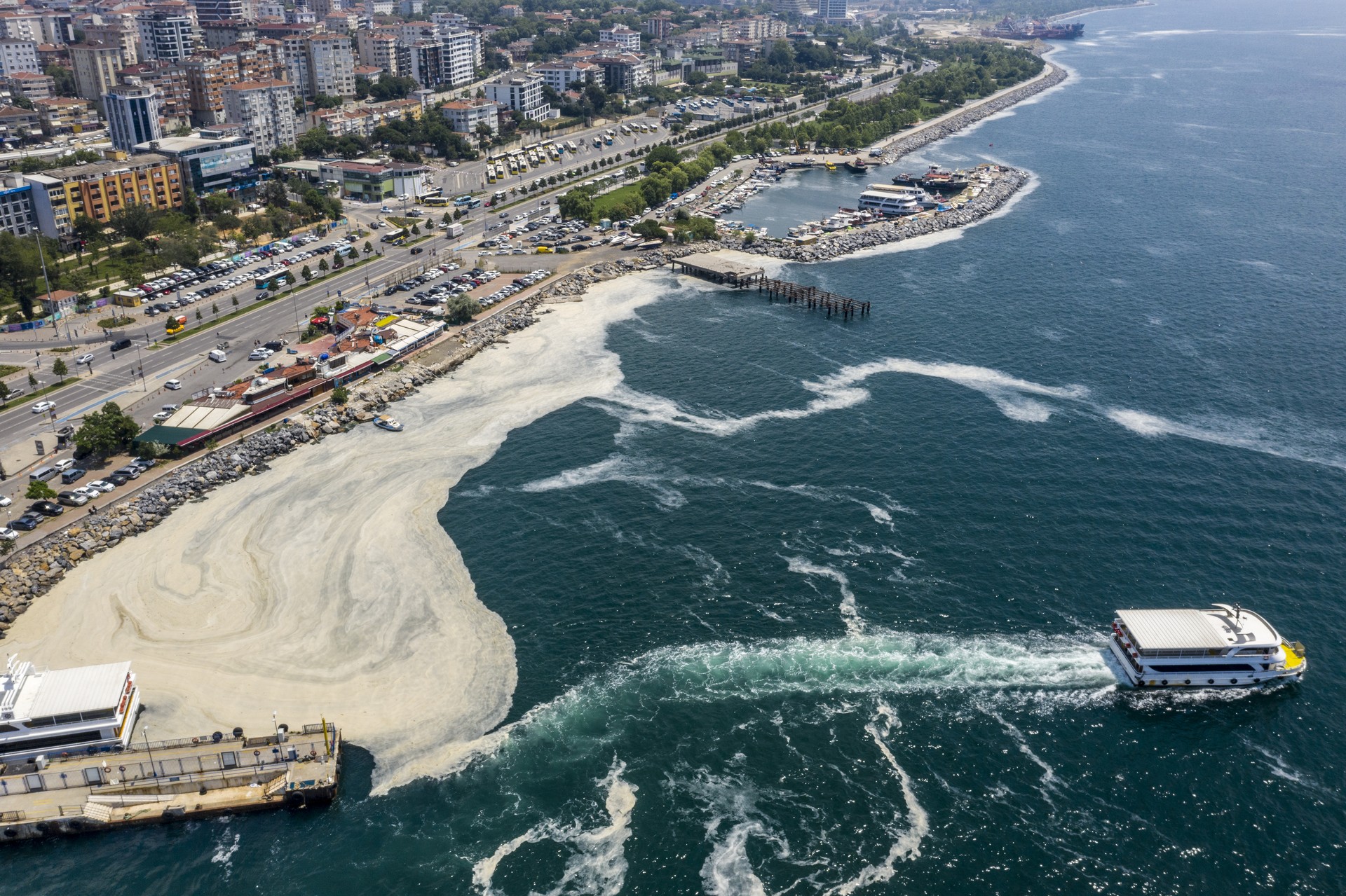 Scientists convene as Marmara Sea faces renewed mucilage threat in Istanbul