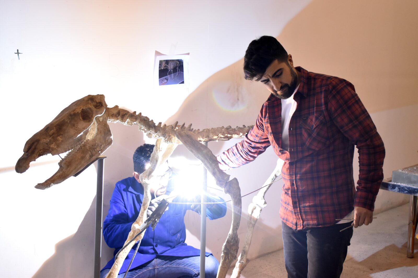 Türkiye's 7.5 million-year-old fossil discoveries shape global paleontology narrative